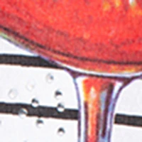 Image du produit 17